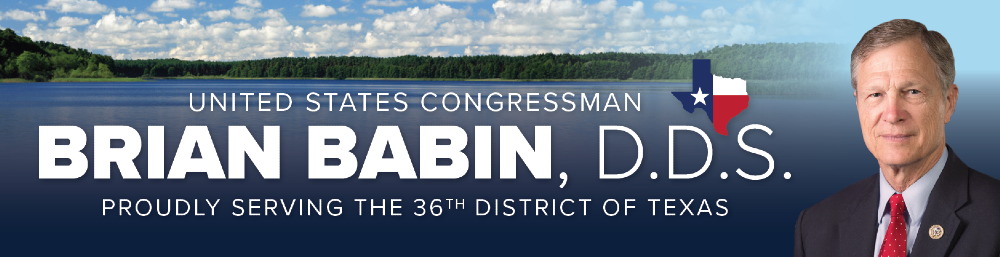 Representative Brian Babin